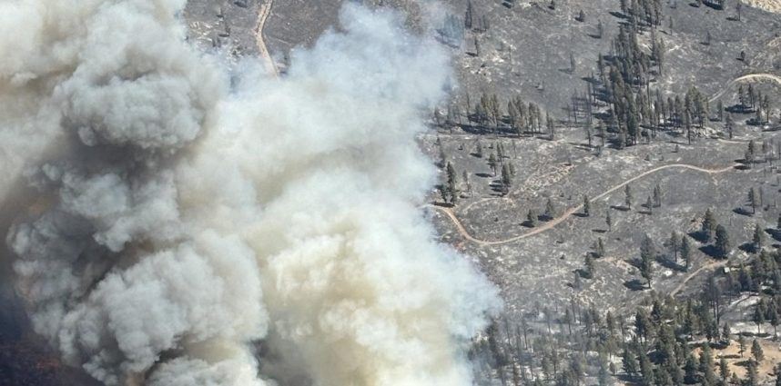 Nevada Residents Flee From Davis Wildfire, Many Find Housing at Casino Hotels (Land Casino & Gambling News (Casino Projects & Openings) - Casino.org)