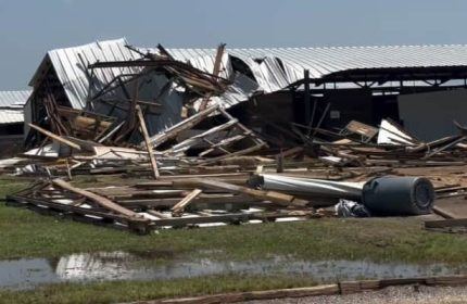 Oklahoma Tornado Kills Three Horses, Injures Others at Will Rogers Downs: Report (Land Casino &amp; Gambling News (Casino Projects &amp; Openings) - Casino.org)